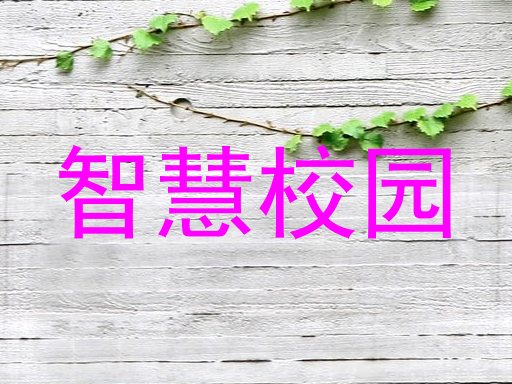 智慧校园