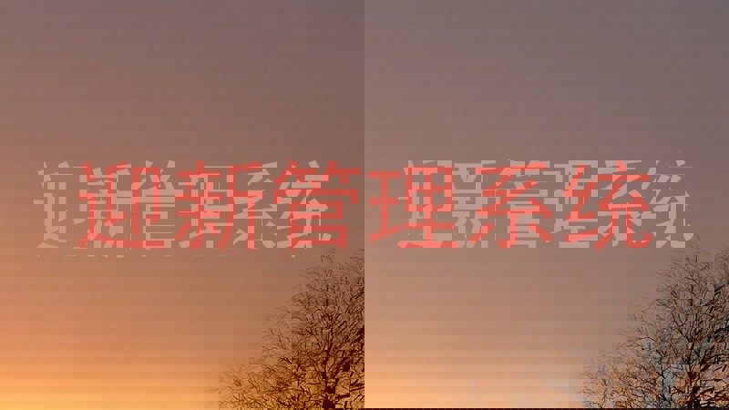 迎新管理系统