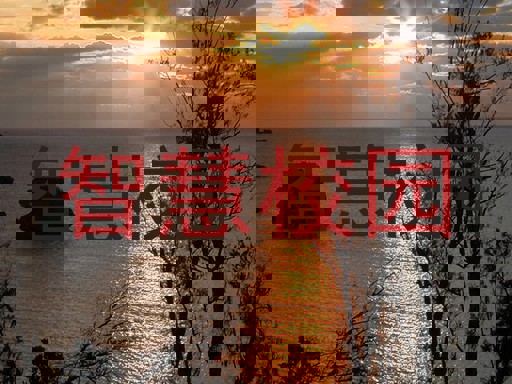 智慧校园