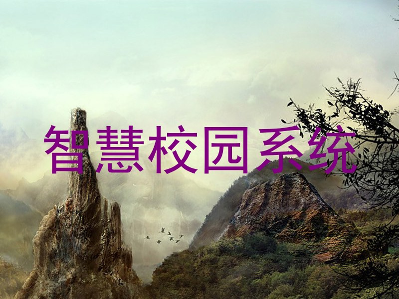 智慧校园系统
