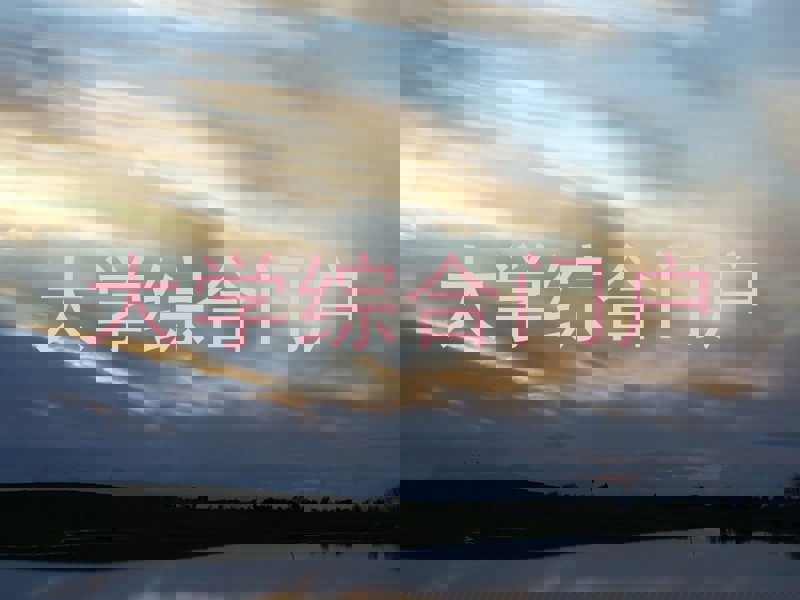 大学综合门户