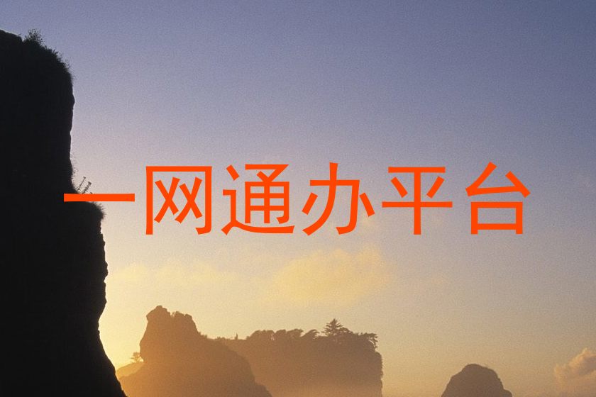 一网通办平台