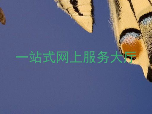 一站式网上服务大厅