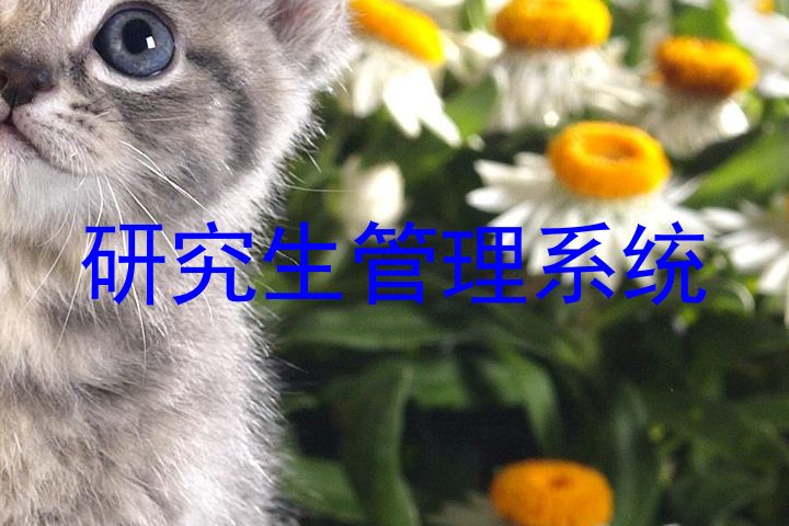 研究生管理系统