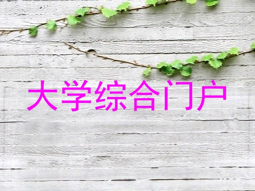 大学综合门户
