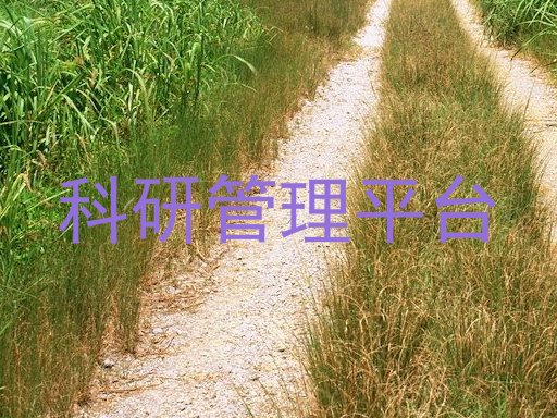 科研管理平台