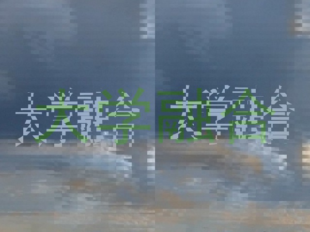 大学融合