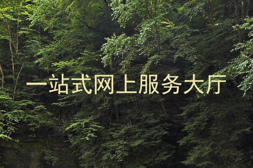 一站式网上服务大厅