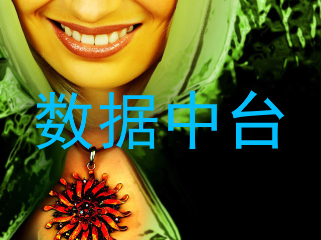 数据中台