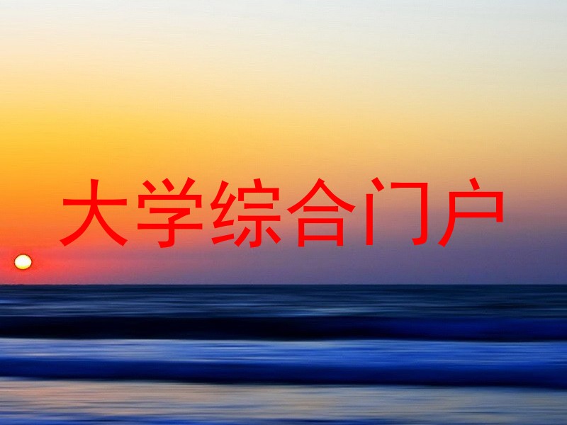 大学综合门户