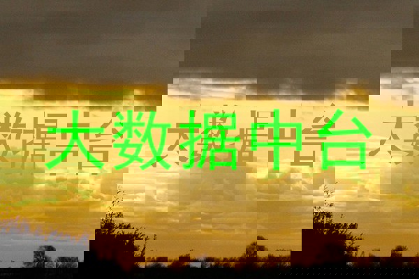 大数据中台