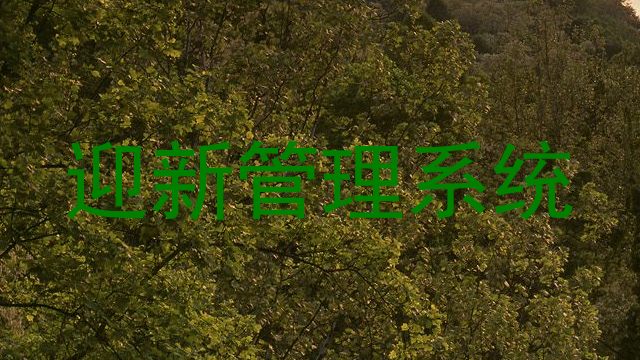 迎新管理系统