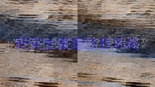 研究生管理信息系统