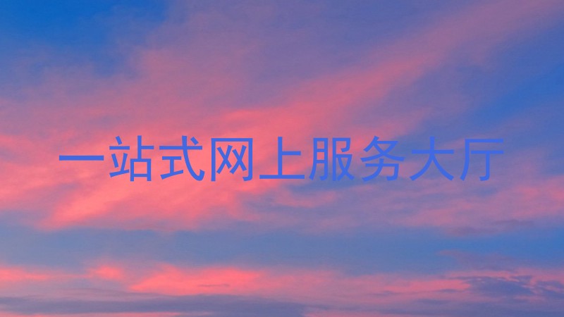 一站式网上服务大厅