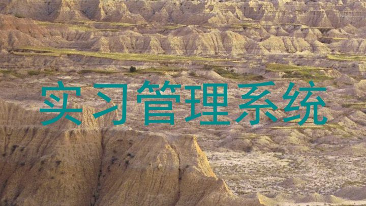 实习管理系统