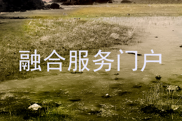 融合服务门户