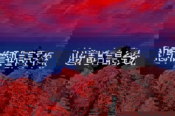 迎新管理信息系统
