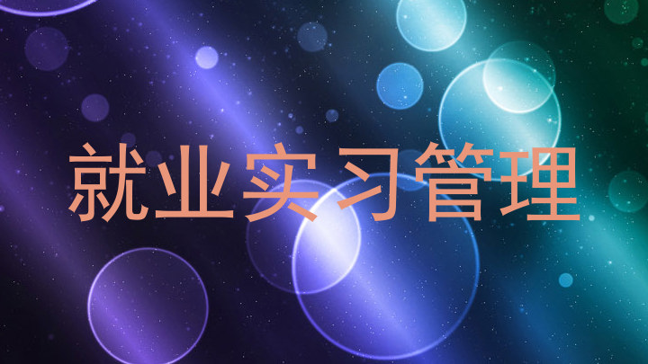 就业实习管理