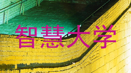 智慧大学