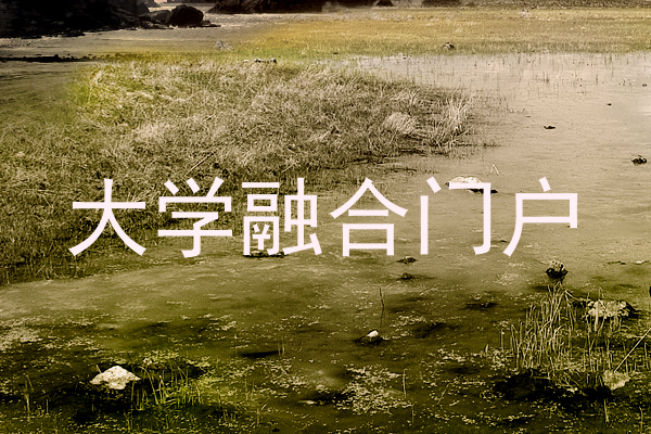 大学融合门户