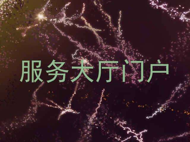 服务大厅门户
