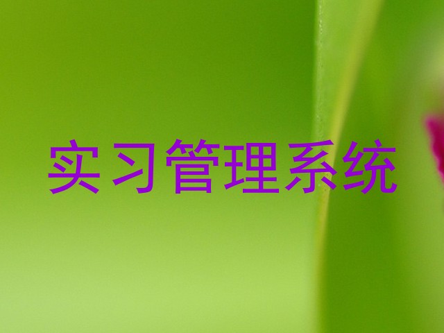 实习管理系统