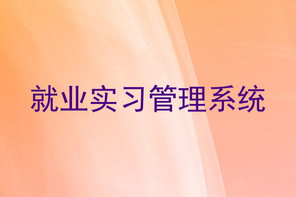 就业实习管理系统