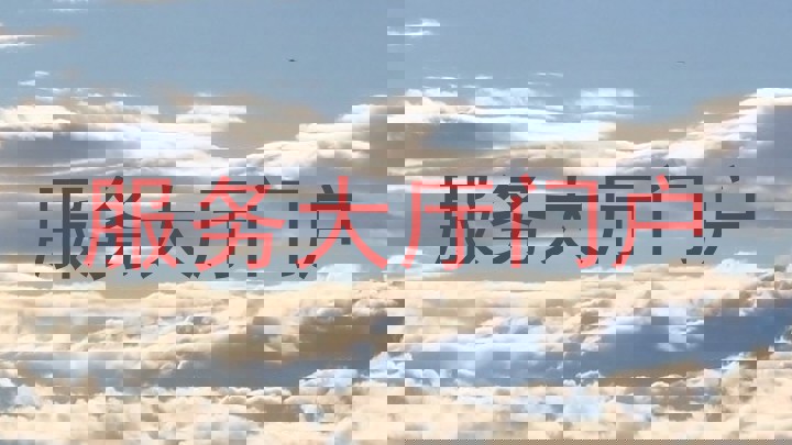 服务大厅门户