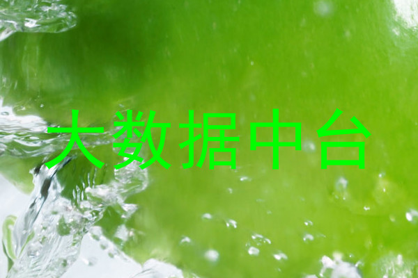 大数据中台
