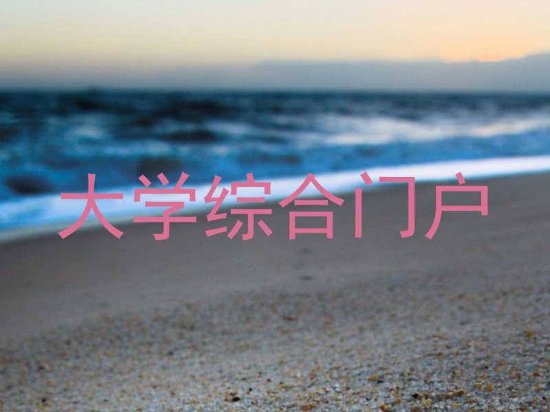 大学综合门户