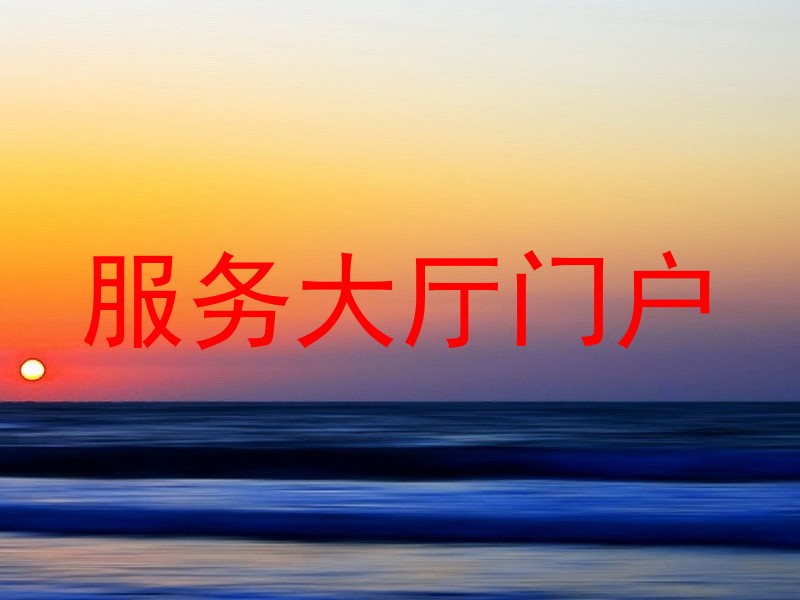 服务大厅门户