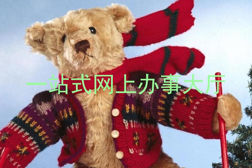 一站式网上办事大厅