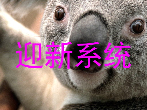 迎新系统