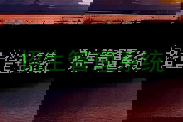 招生管理系统
