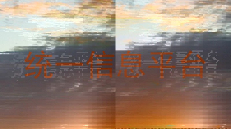 统一信息平台