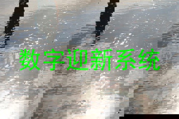 数字迎新系统
