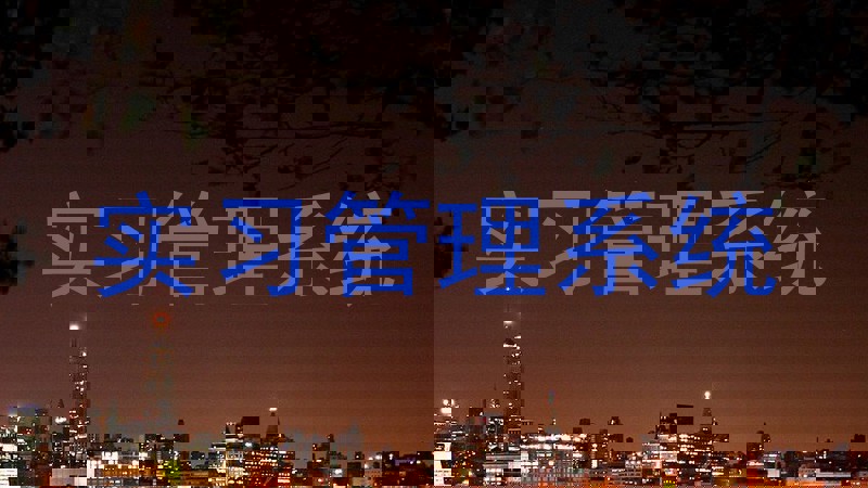 实习管理系统