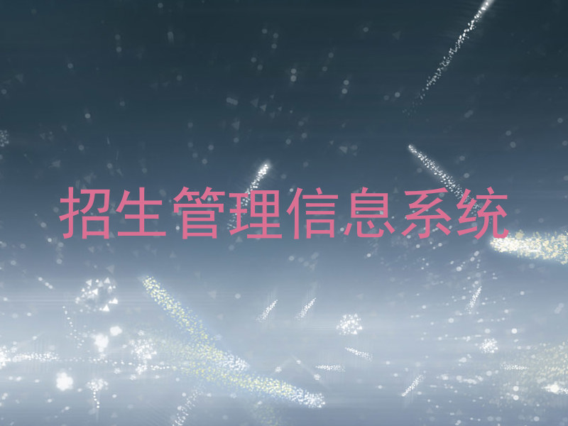 招生管理信息系统