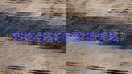 研究生综合管理系统