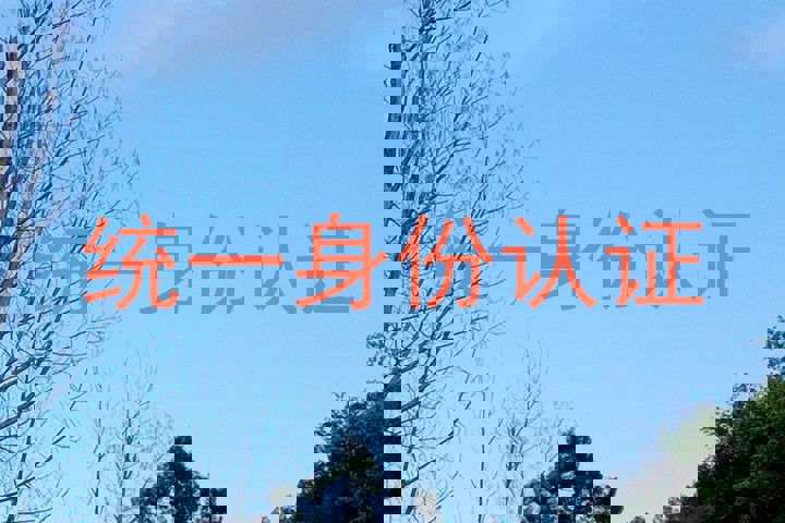 统一身份认证