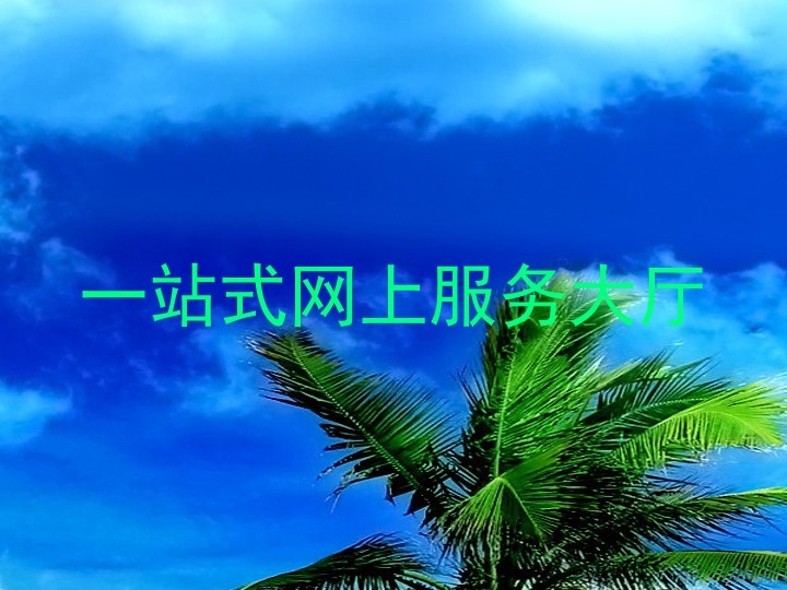 一站式网上服务大厅