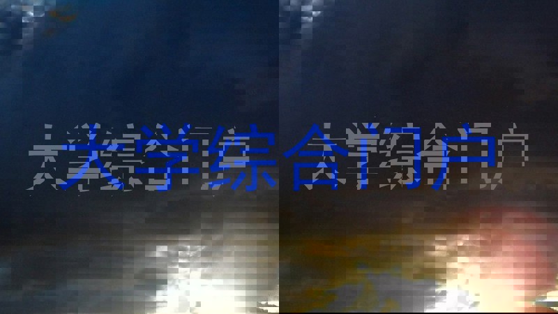 大学综合门户