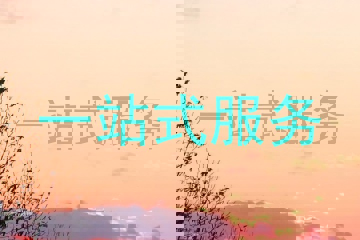 一站式服务