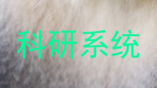 科研系统
