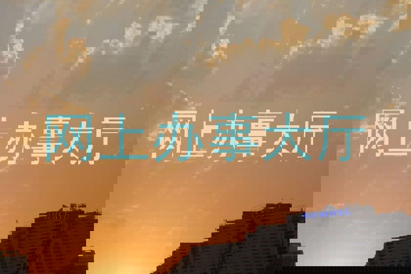 网上办事大厅