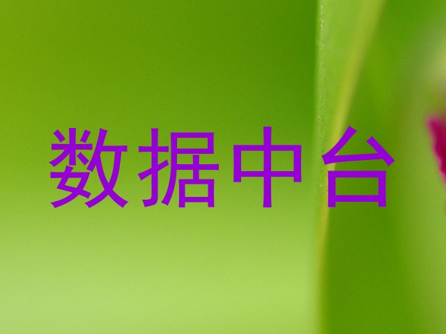 数据中台
