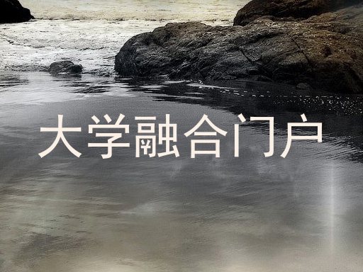 大学融合门户
