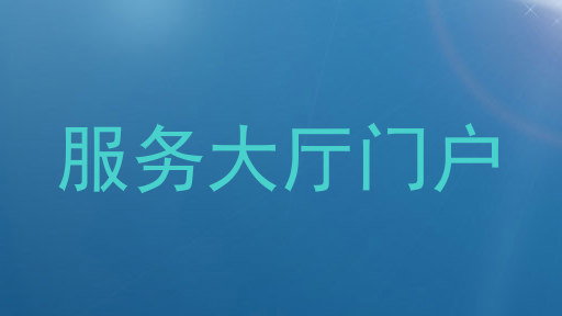 服务大厅门户