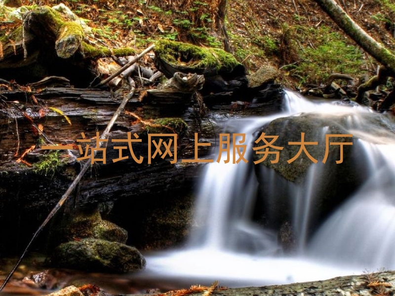 一站式网上服务大厅