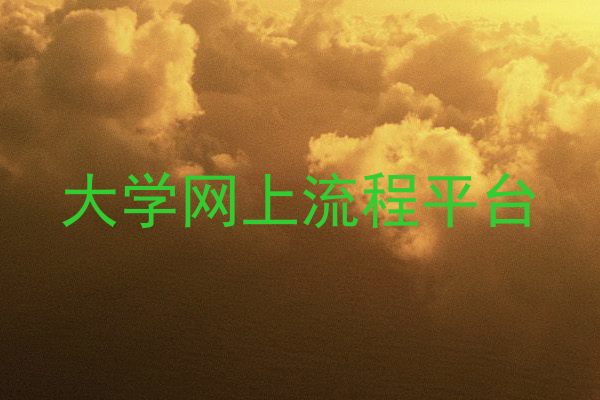 大学网上流程平台